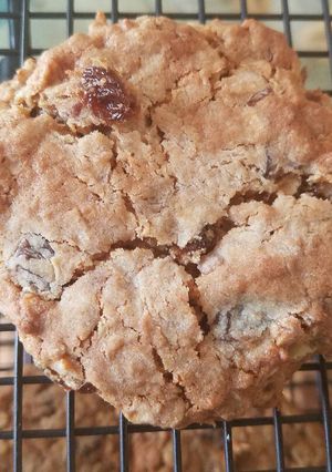 A picture of Oatmeal Cookies from Good Housekeeping's Book of Menus, Recipes and Household Discoveries - 1922.