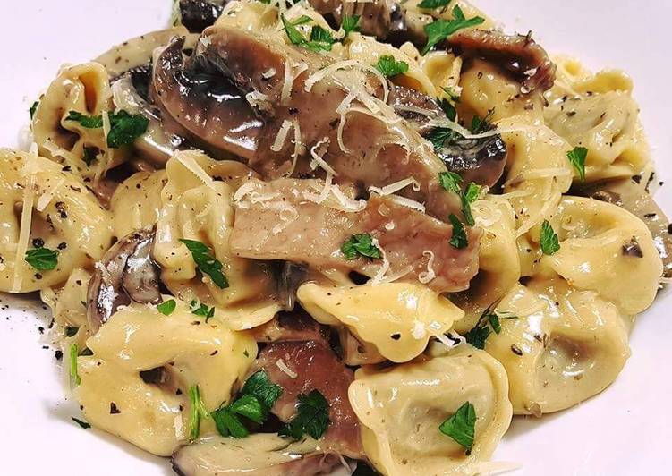 How to Prepare Perfect Veal tortellini with creamy mushroom, bacon sauce