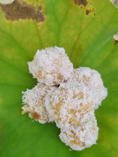 Foto resep Klepon labu kuning