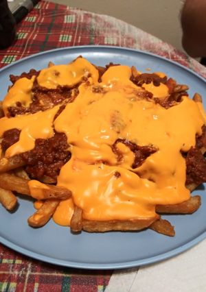 A picture of Sloppy Fries.