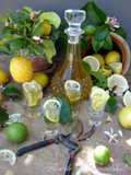Limoncello!! Ou o delicioso Licor de Limão!!