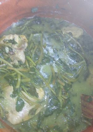 Una foto de Pollo con verdolagas