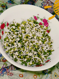عکسی از دستور جوانه ماش 🌱