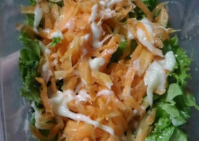 Langkah Mudah untuk Menyiapkan Salad Sayur, Menggugah Selera