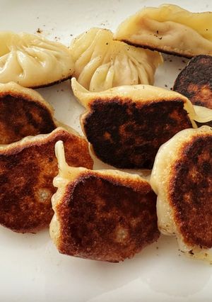 A picture of Pan Fried Chicken Potstickers.