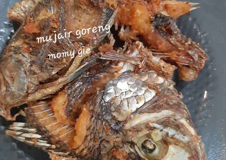 Bagaimana Membuat Mujair Goreng Kering yang sempurna