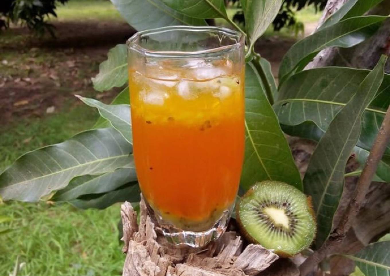 Orange and kiwi cooler