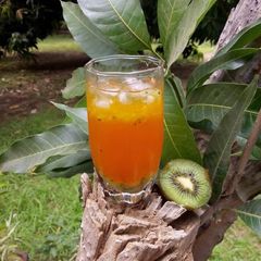 A picture of Orange and kiwi cooler.