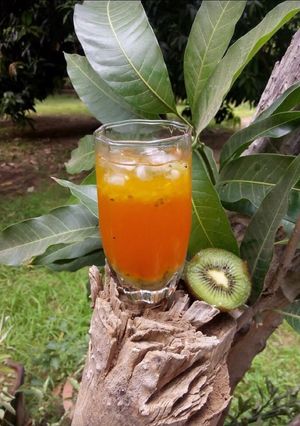 A picture of Orange and kiwi cooler.