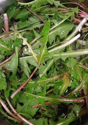 A picture of Italian Sausages with Dandelion Greens (development).