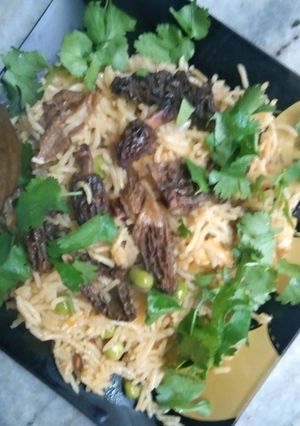 A picture of Gucchi Pulao Morel Mushroom Pulao.
