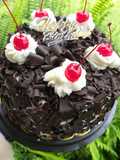 Blackforest Premium