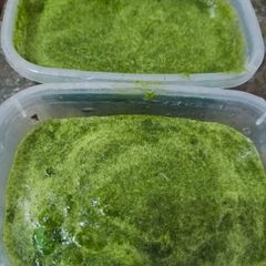 A picture of Green mint chutney.