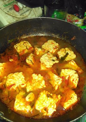 Foto resep BagaBaga tempe