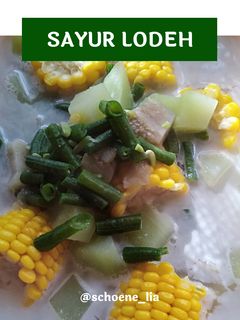 Foto resep Sayur Lodeh
