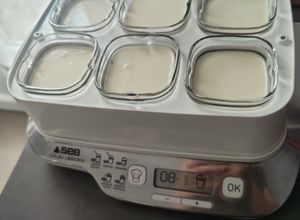 Une photo de Yaourt au citron et mascarpone à la multidelice