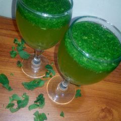 A picture of Mint margrita.
