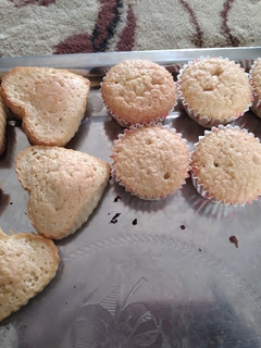 A picture of Vanilla sponge cake.