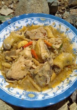 Hình của món Gà kho gừng.