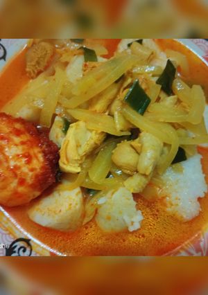Foto resep Sayur Santan Fillet Ayam & Labu Siam