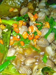 Foto resep Kerang dara saos padang