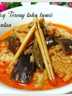 Foto resep Terong tahu tumis santan