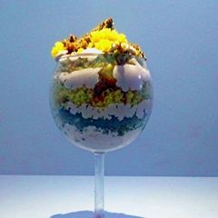 A picture of Parfait Valo!!!.