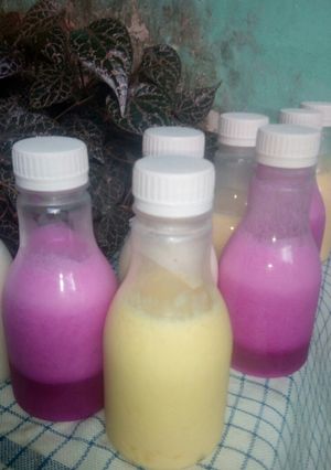 Foto resep Yogurt jus mangga (+buah lainnya)
