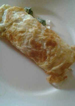 A picture of Egg shawarma.