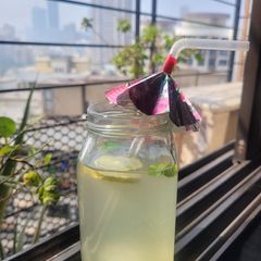 A picture of Mintade.
