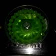 Kelly rasa melon