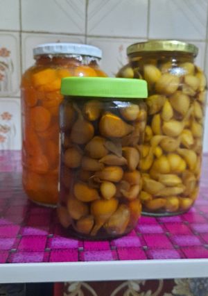 عکسی از دستور سیر ترشی