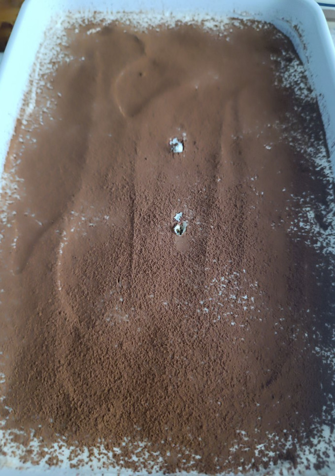 Una foto de Tiramisú