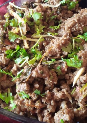 A picture of Fry Mince (Bhuna Qeema).