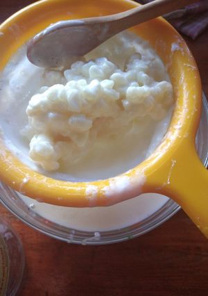 Una foto de Yogur de pajaritos (kéfir casero)