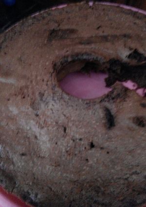 Foto resep NutriCake Brownies modifikasi