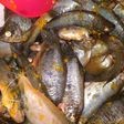 Ikan sepat bumbu kunyit