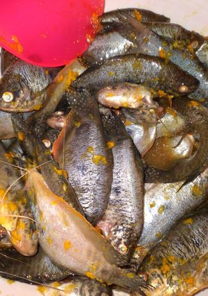 Foto resep Ikan sepat bumbu kunyit