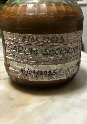 Foto di Garum Sociorum