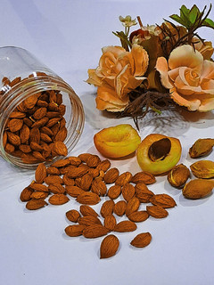 عکسی از دستور هسته شور زردآلو (دور نریزیم)