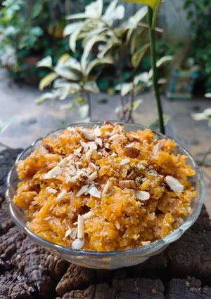 A picture of Gajar Halwa.
