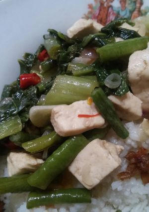 Foto resep Pokcoy tahu saus tiram