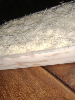 Foto resep Stup roti