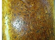A picture of plant milk