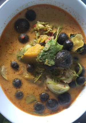 A picture of Red Curry with Chicken Thighs, Straw Mushrooms, and Mixed Vegetables.