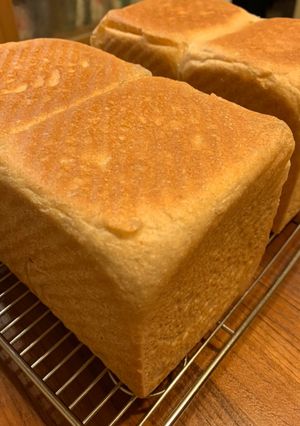 48%全麥生土司 的食譜成品照片