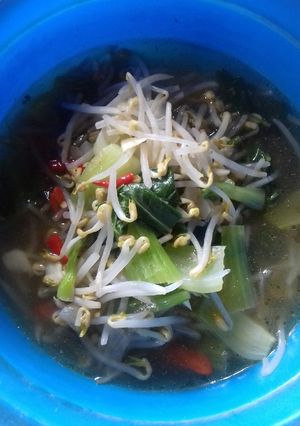Foto resep Tumis tauge+pak coy simpel