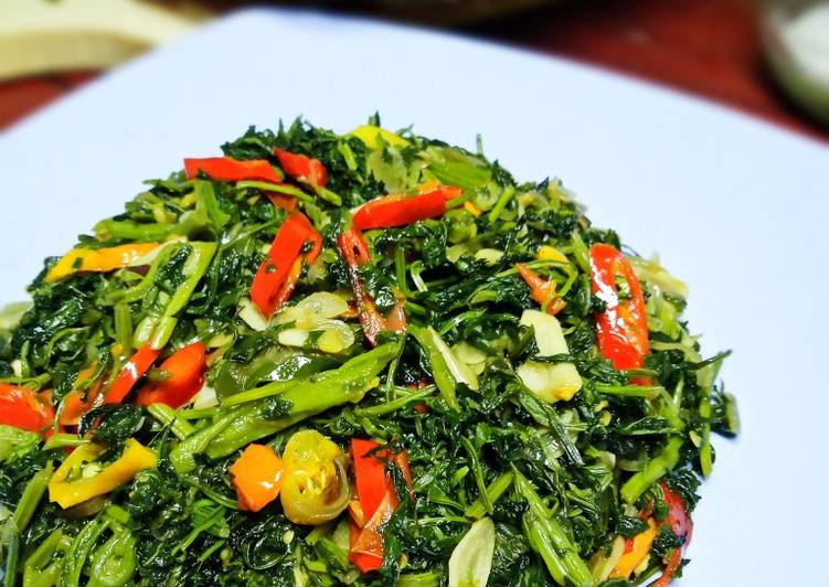 Resep Tumis kenikir saus tiram oleh Maylanmaharani Cookpad Resep Tumis kenikir saus tiram oleh Maylanmaharani Cookpad