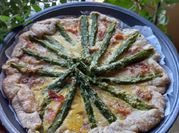 A picture of savory tart