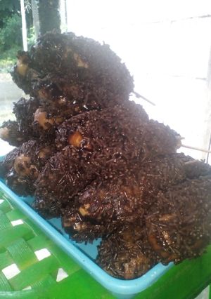 Foto resep Donat paha ayam